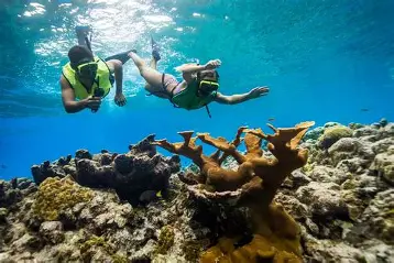Snorkeling along coral reef during Virgin Voyages Grand Turk 2026 stop