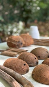 cocos-materia-prima-vejigantes-loiza